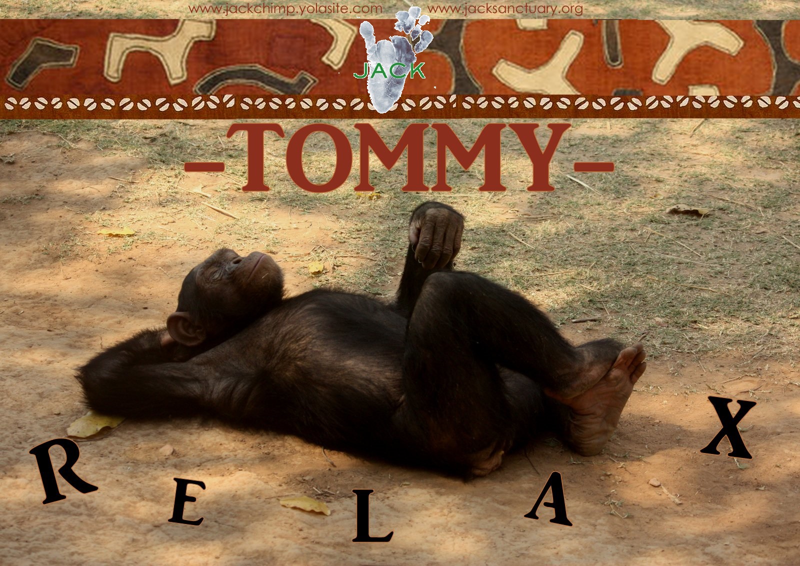tommy-relax