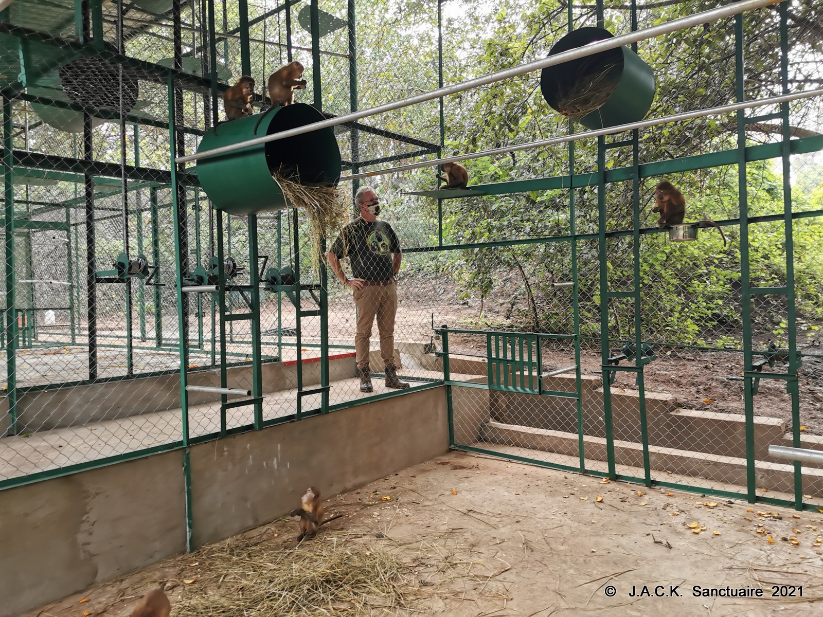 Arrival at J.A.C.K. of the monkeys repatriated from Zimbabwe