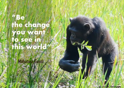 March 3rd – World Wildlife Day