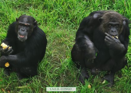 Wimbi & Seki at lunch time