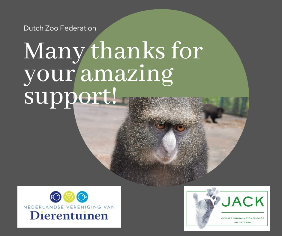 Great help from the Dutch Zoo Federation