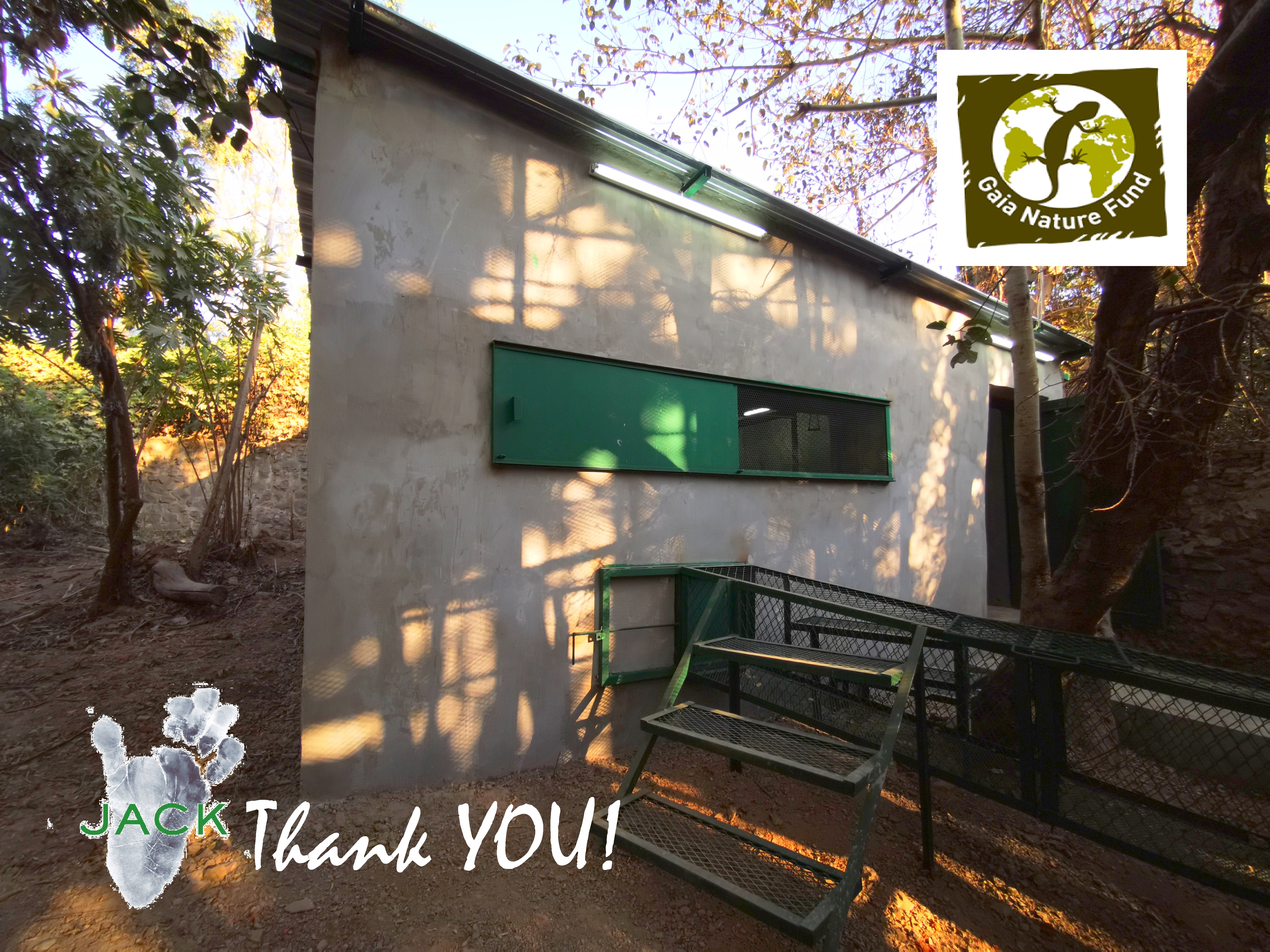 The Gaia Nature Fund contributes to the building of warm night rooms for golden bellies repatriated from Zimbabwe