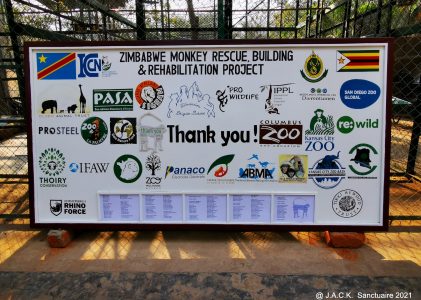 Updates on the Zimbabwe Monkey Rescue, Building & Rehabilitation Project