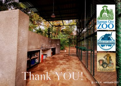 Zimbabwe Monkey Building Project: a brand new kitchen thanks to great donors!