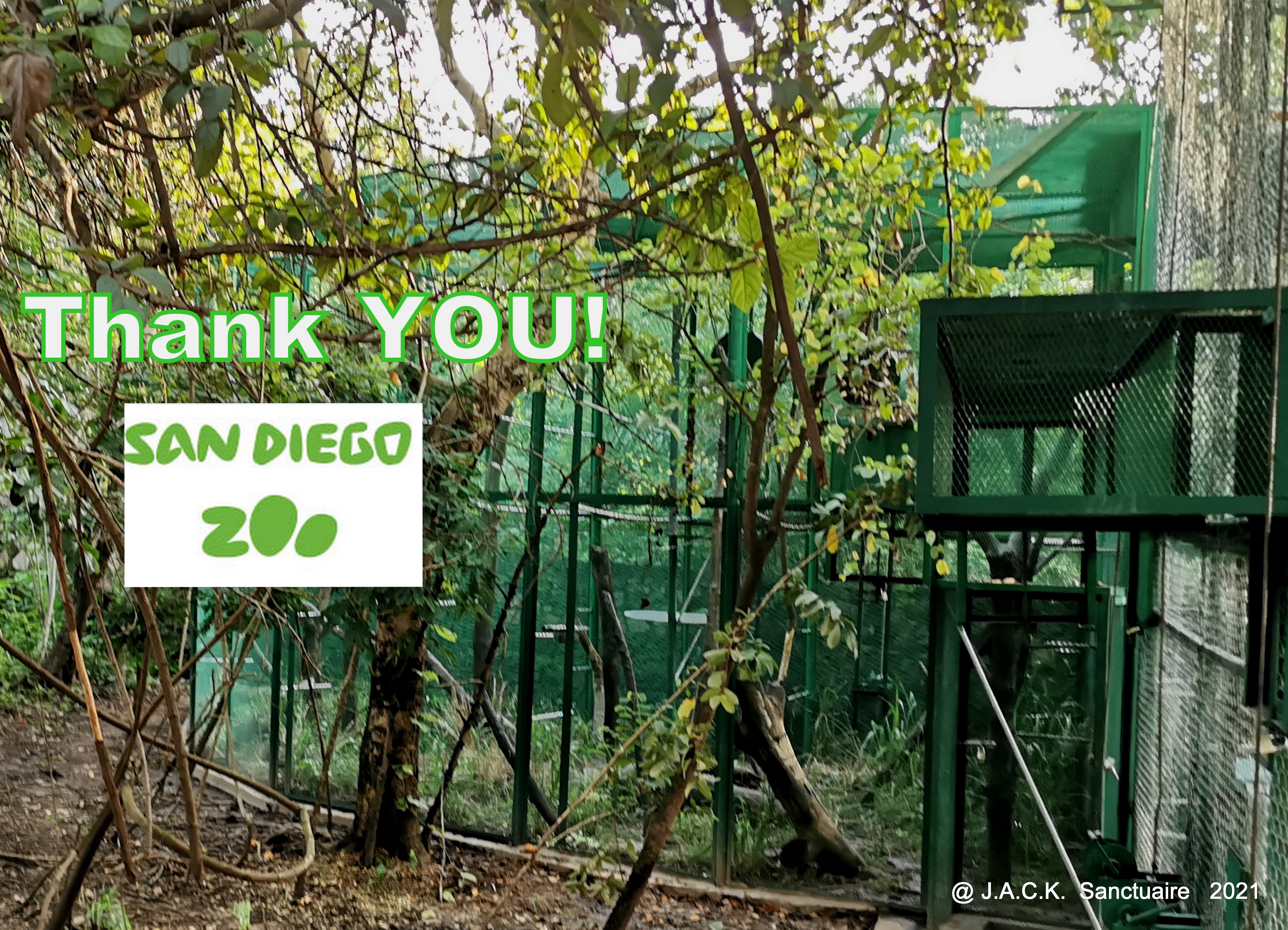 The San Diego Zoo kindly supports the « Zimbabwe Monkey Building Project »!