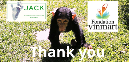 VINMART FOUNDATION, thank you for all your attention to the orphans rescued by J.A.C.K.