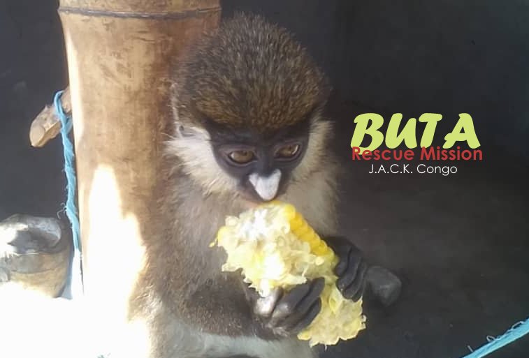 J.A.C.K Primate Sanctuary