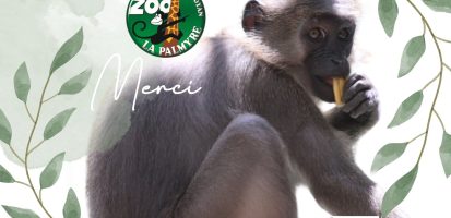 Zoo de La Palmyre, a long-standing partner