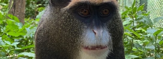 RESCUE MISSION ‘LODJA 1’ – three years later