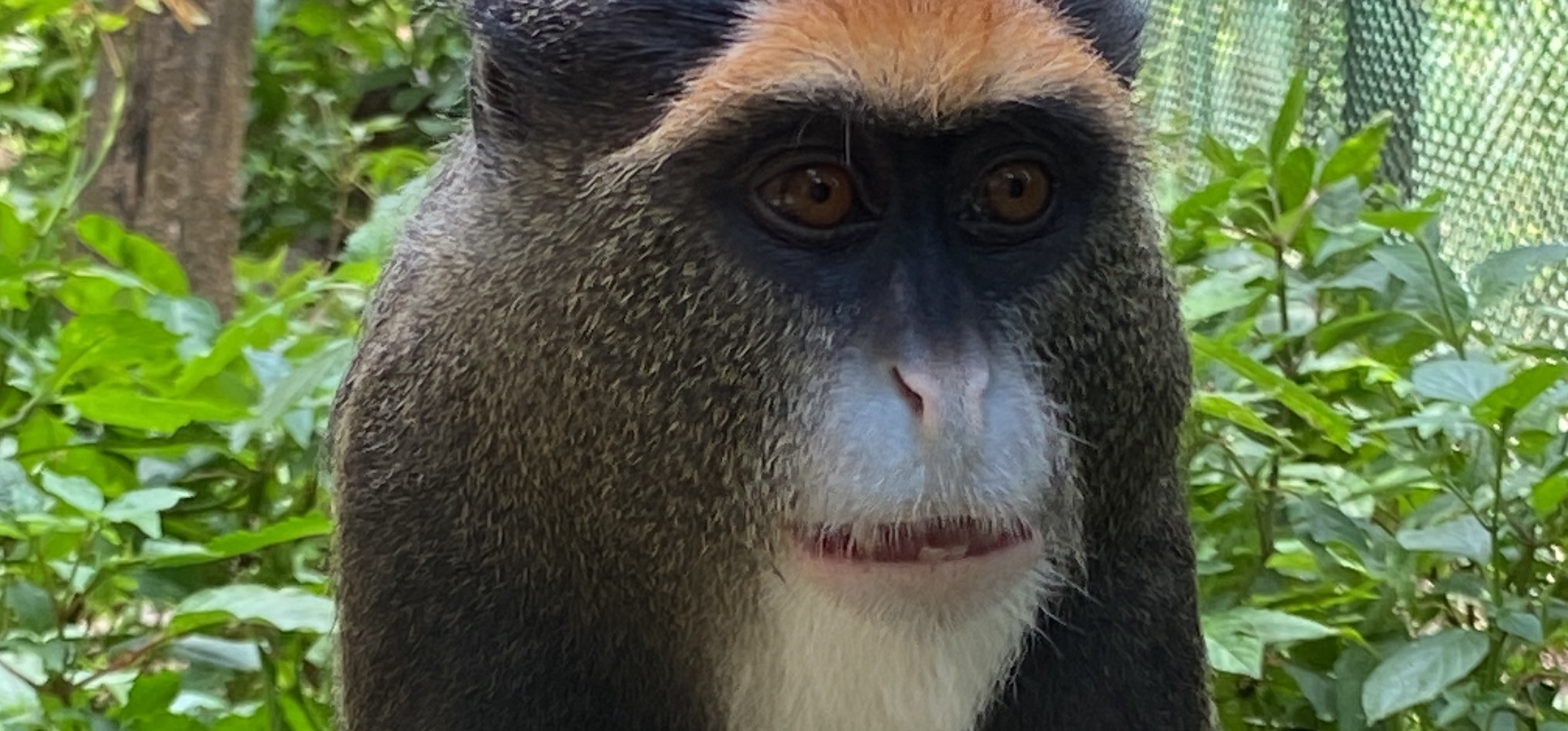 RESCUE MISSION ‘LODJA 1’ – three years later