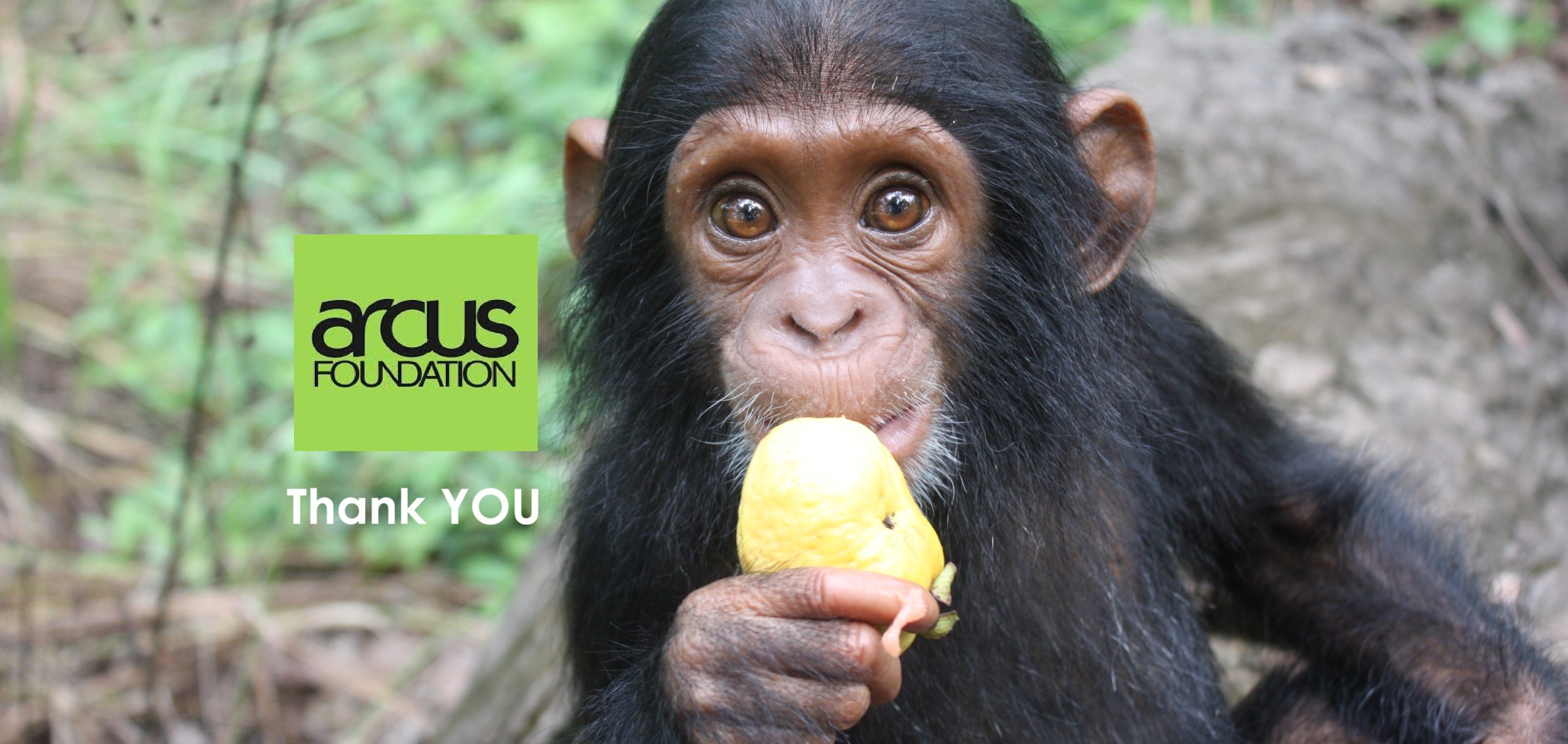 ARCUS – your invaluable support makes the difference