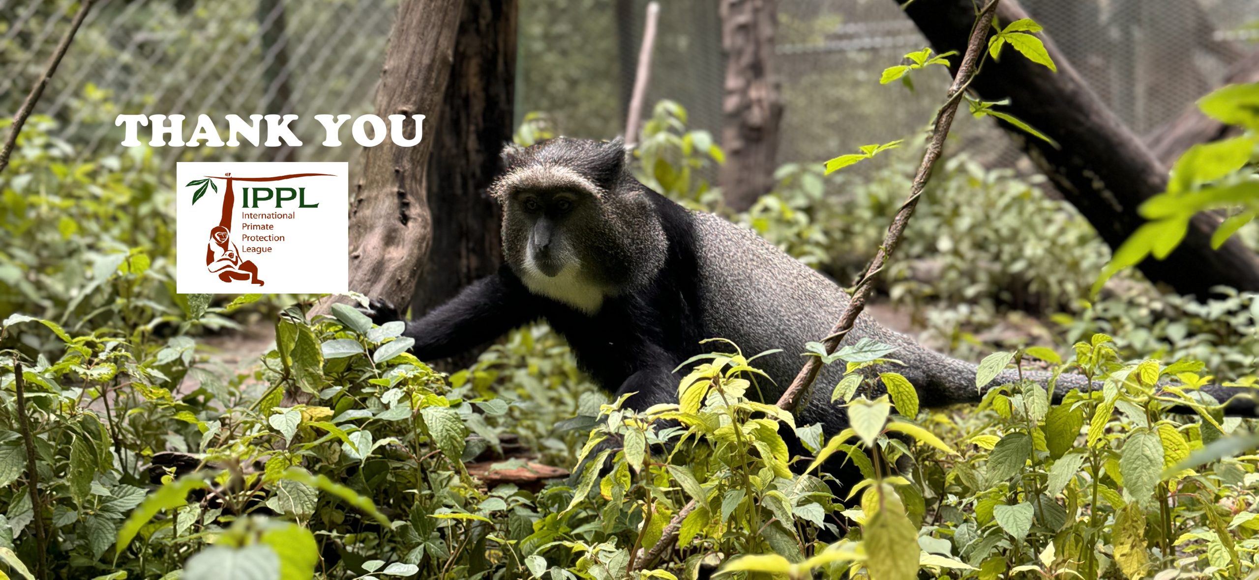 IPPL – thank you for your precious support