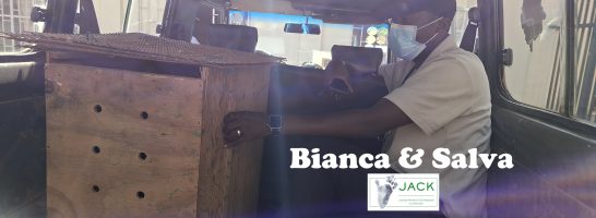 BIANCA & SALVA – 2 new lives saved