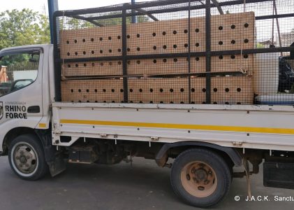 DRC monkeys seized in Zimbabwe – ongoing repatriation!