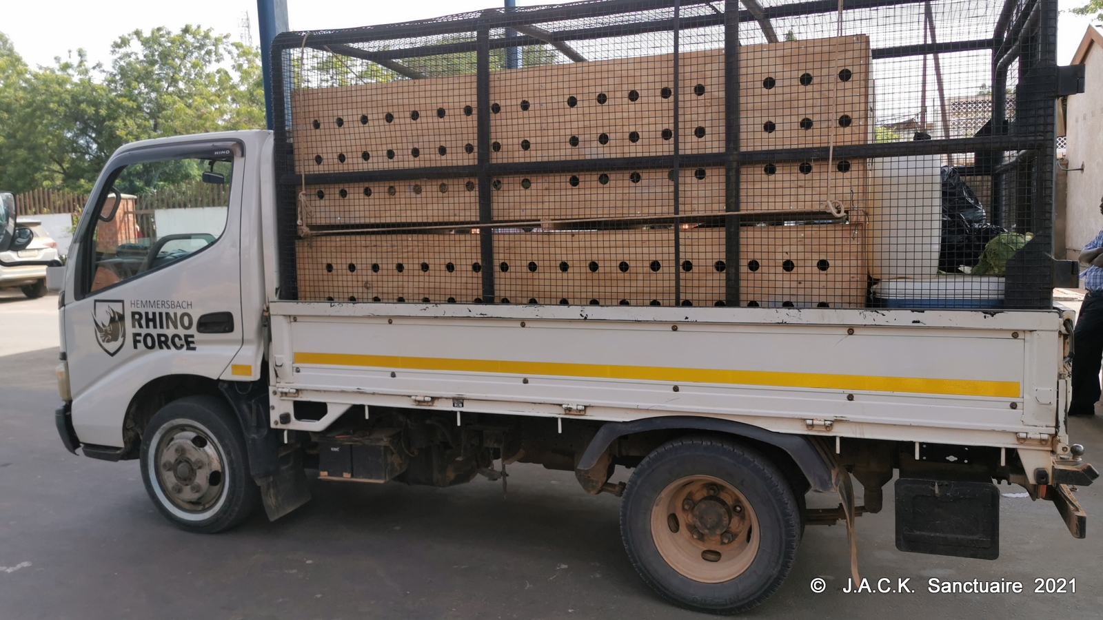 DRC monkeys seized in Zimbabwe – ongoing repatriation!