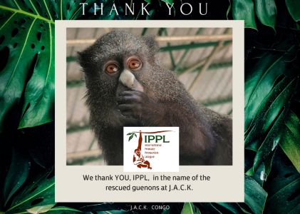 IPPL contributes to the well-being of the monkeys repatriated from Zimbabwe