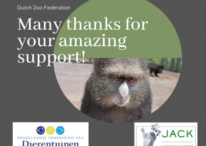 Great help from the Dutch Zoo Federation