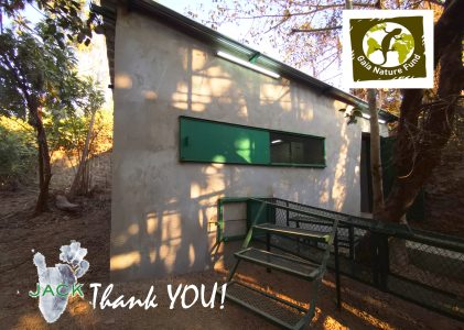 The Gaia Nature Fund contributes to the building of warm night rooms for golden bellies repatriated from Zimbabwe