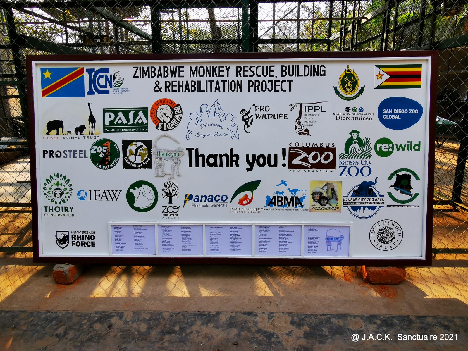 Updates on the Zimbabwe Monkey Rescue, Building & Rehabilitation Project