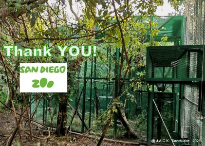 The San Diego Zoo kindly supports the “Zimbabwe Monkey Building Project”!