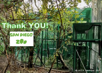 The San Diego Zoo kindly supports the « Zimbabwe Monkey Building Project »!