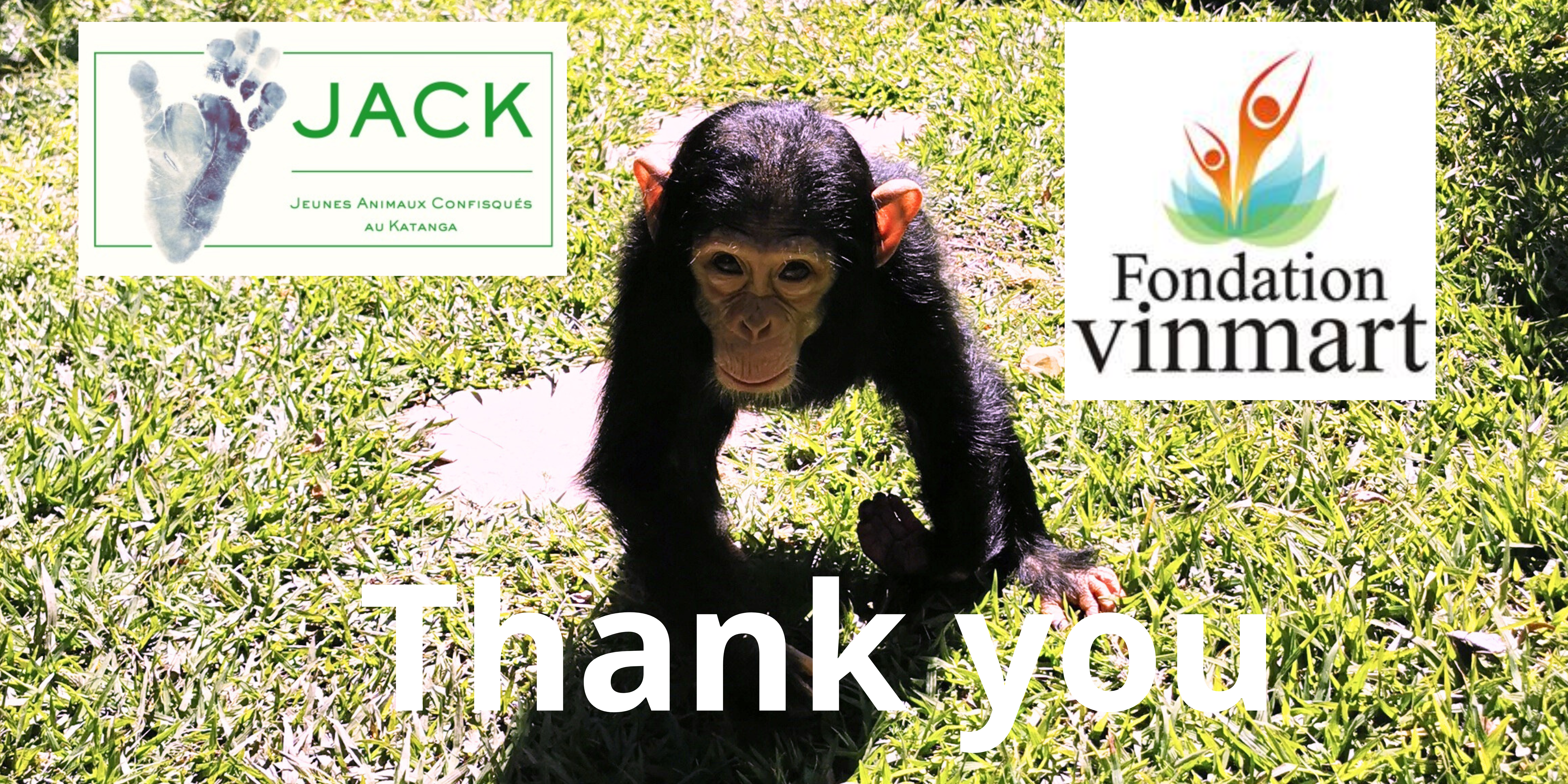 VINMART FOUNDATION, thank you for all your attention to the orphans rescued by J.A.C.K.