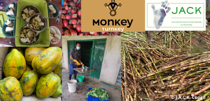 Monkey Turnkey is a vital aid to the J.A.C.K. sanctuary.