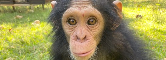 Sponsor an orphan, change a life