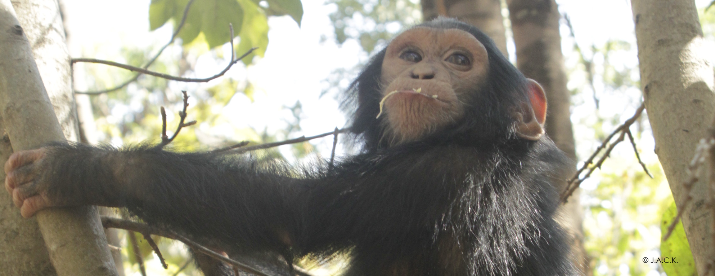 May 16 – World Endangered Species Day