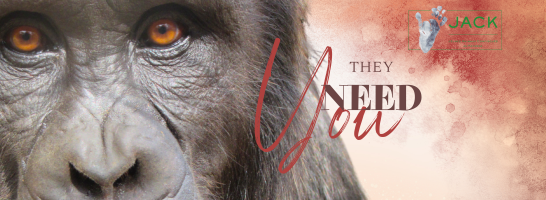 Be a CHIMP AMBASSADOR