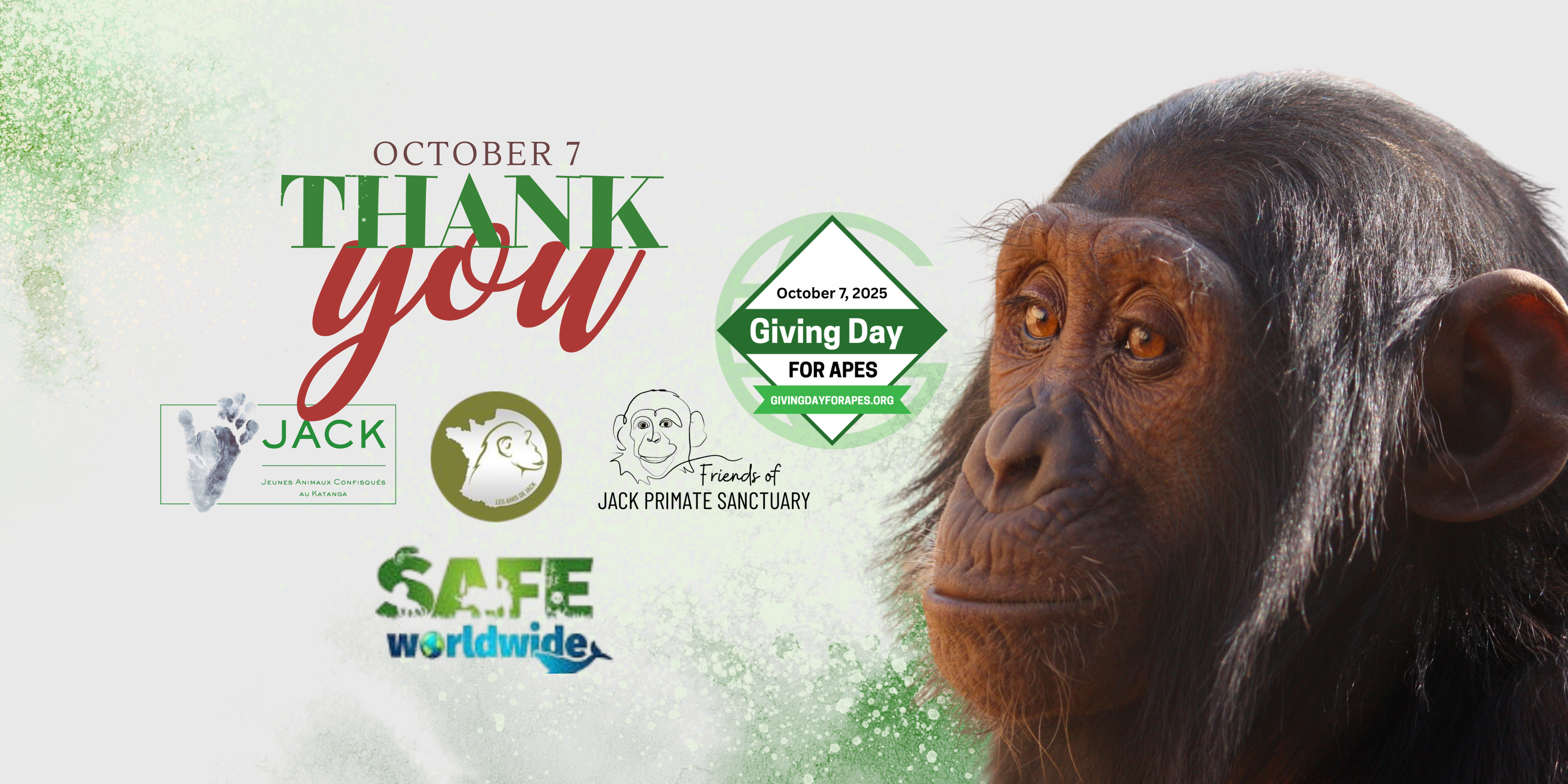 GIVING DAY FOR APES – your trust makes the difference