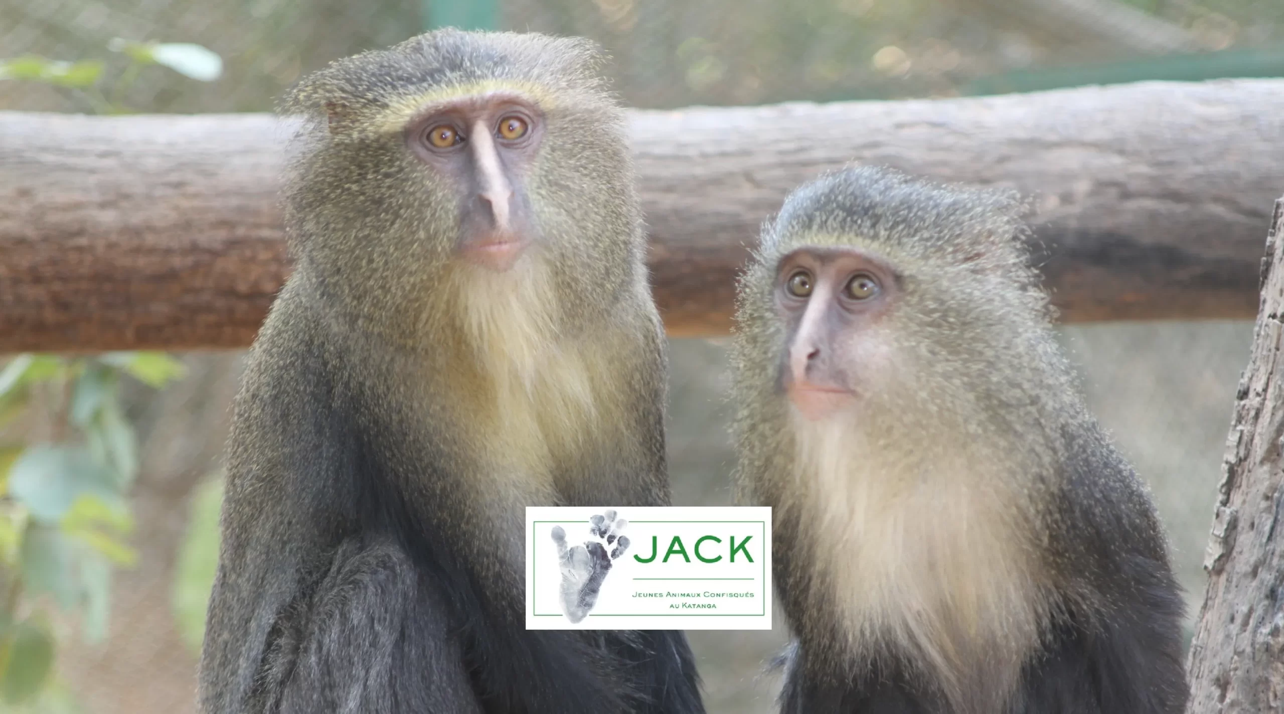 MISSION – saving lives